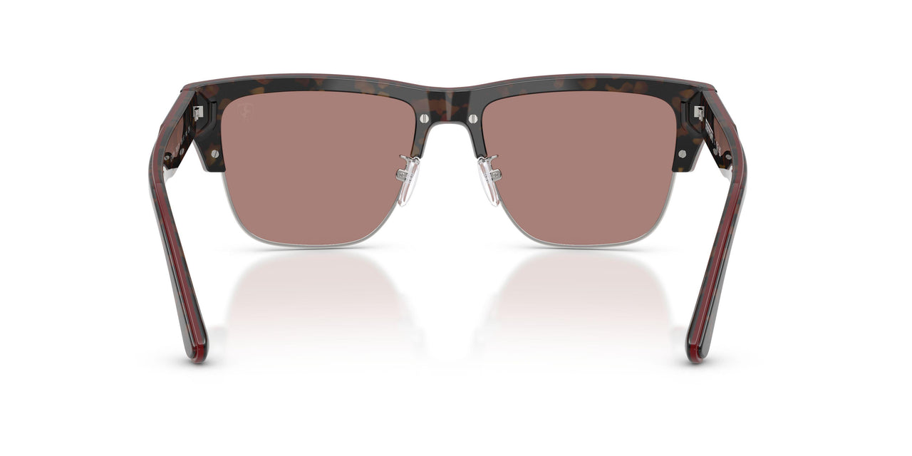 760/73 - Tortoise - Brown