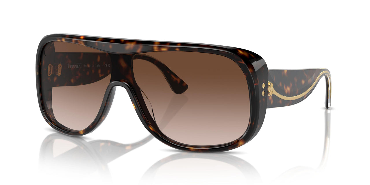 702/13 - Tortoise - Gradient Brown