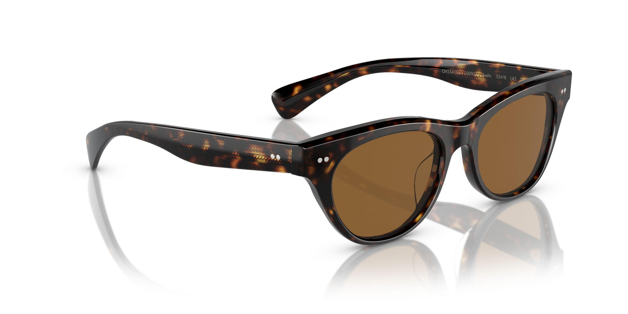 100953 - Tortoise - True Brown