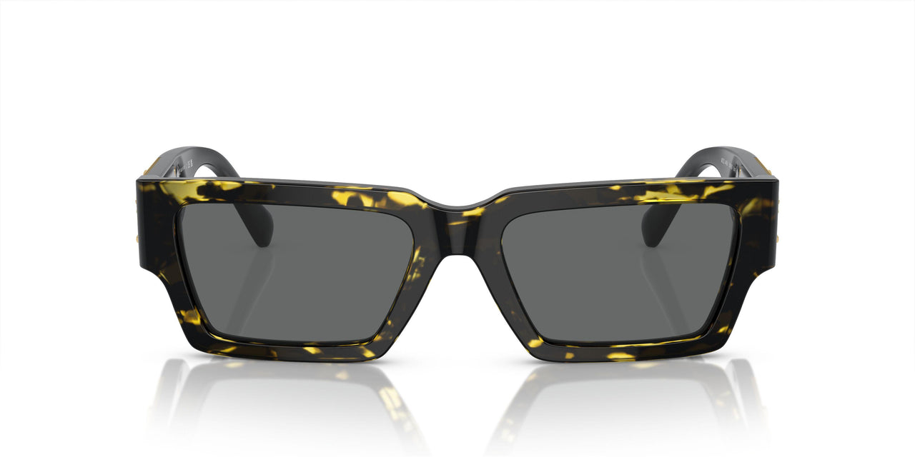 542887 - Tortoise - Dark Grey