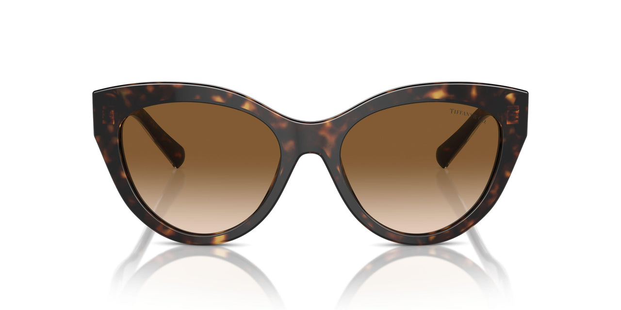 801551 - Tortoise - Clear Gradient Brown
