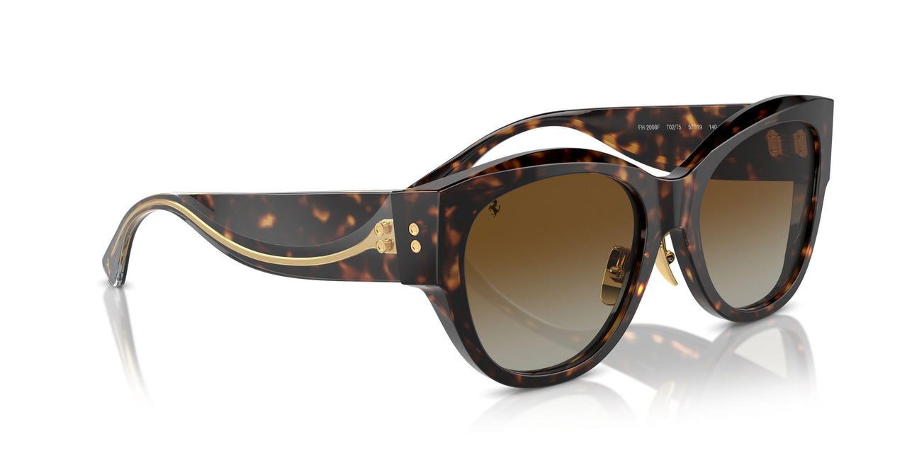 702/T5 - Tortoise - Brown Gradient Polar