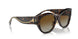 702/T5 - Tortoise - Brown Gradient Polar