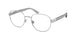 Polo 1224 Eyeglasses