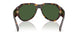 502/71 - Tortoise - Dark Green