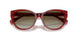 621013 - Violet - Gradient Brown