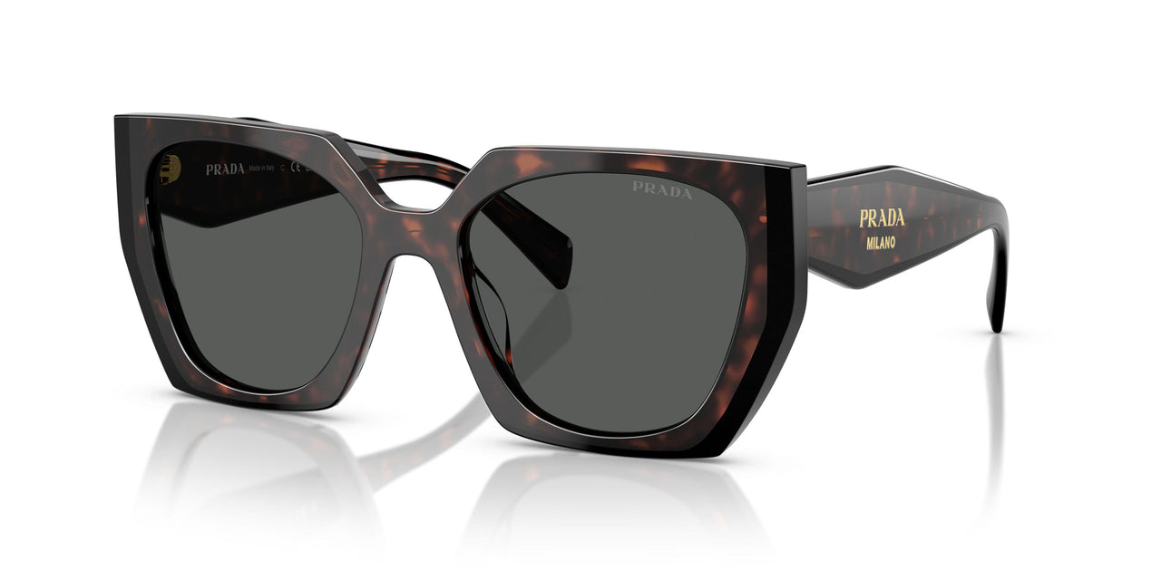 24B40L - Tortoise - Dark Grey