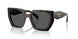 24B40L - Tortoise - Dark Grey