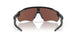 900123 - Black - Prizm Deep Water Polarized