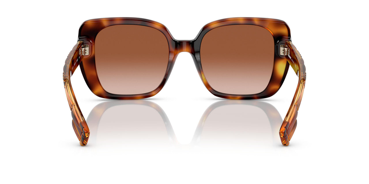 331613 - Havana - Brown Gradient