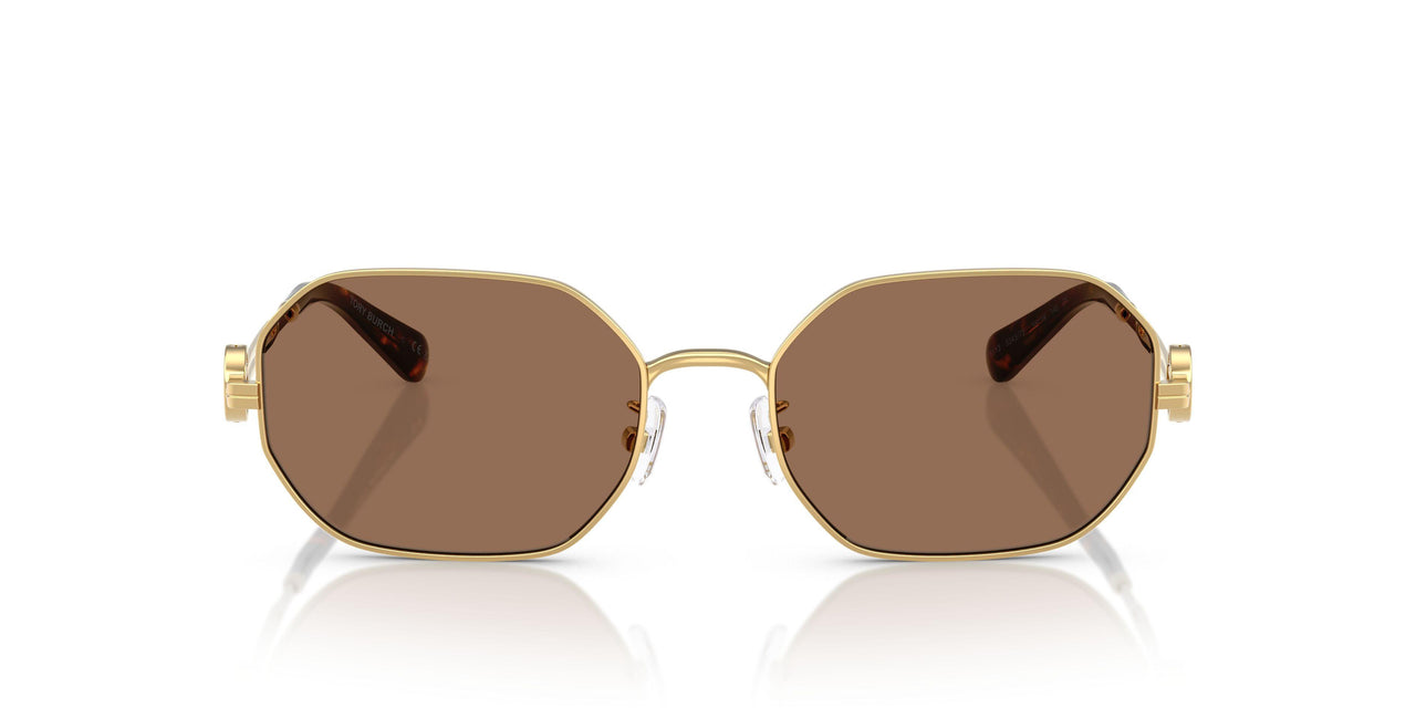 334373 - Gold - Dark Brown
