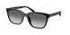 Coach Cae86 8429D Sunglasses