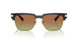 GB1/E8 - Black - Green/brown