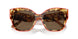 200073 - Red - Dark Brown