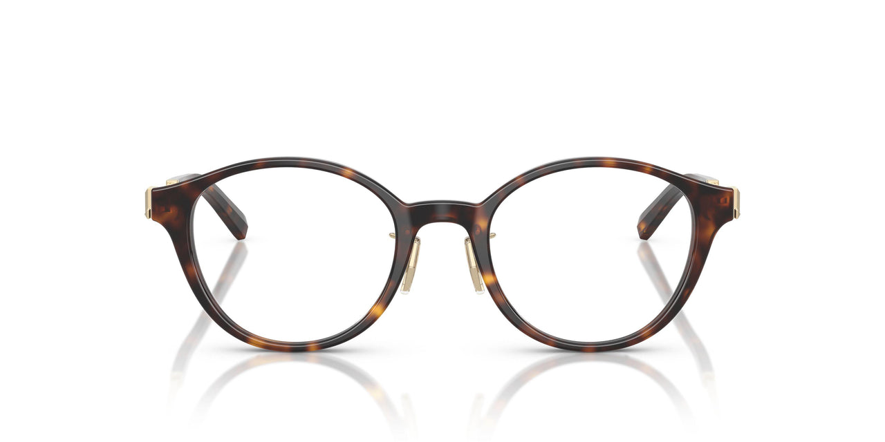 8015 - Tortoise