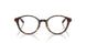 8015 - Tortoise