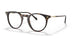 W656 - Brown