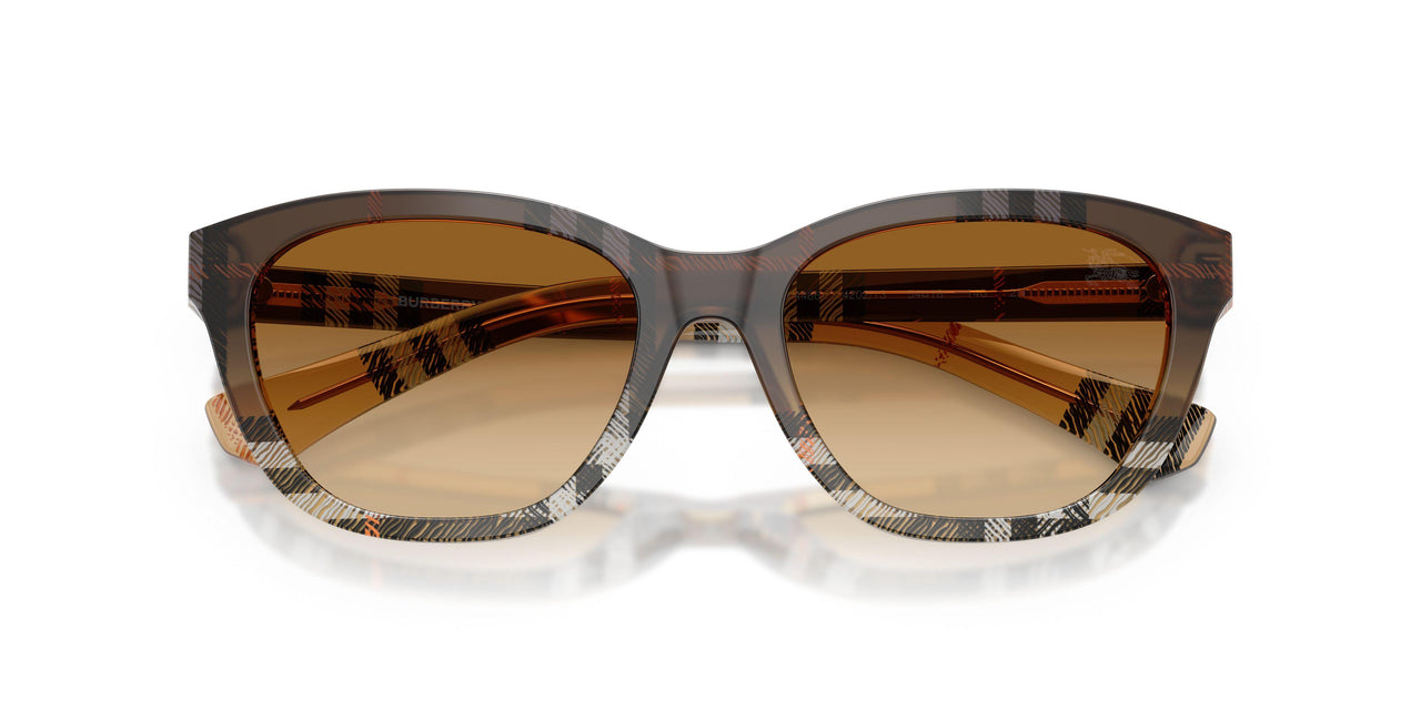 420213 - Brown - Brown Gradient