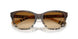 420213 - Brown - Brown Gradient