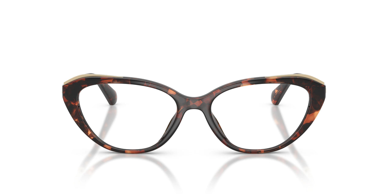 4031 - Tortoise