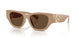 399073 - Beige - Dark Brown