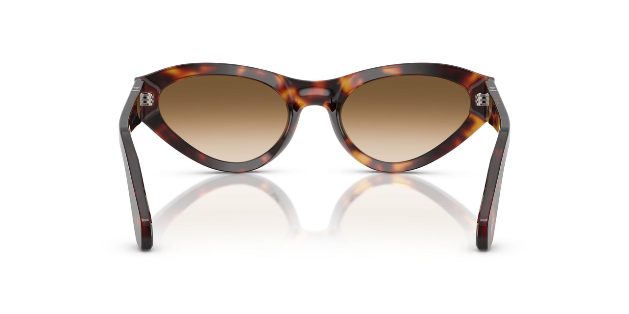 24/51 - Tortoise - Clear Gradient Brown