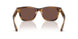 425373 - Tortoise - Black Chocolate