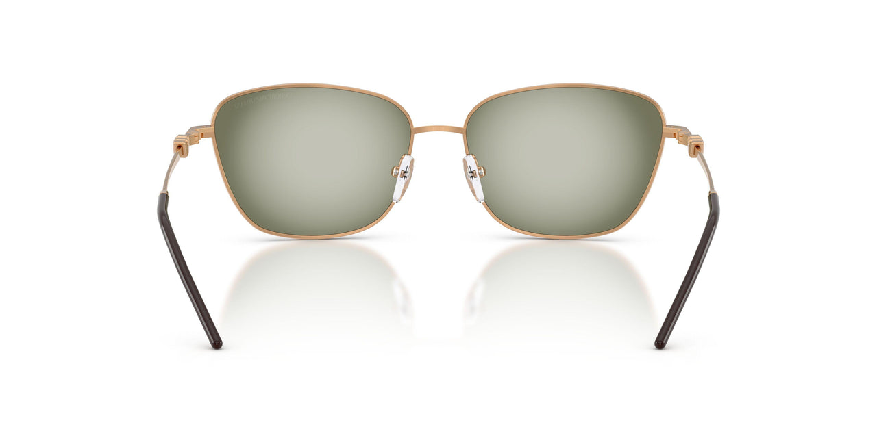 342713 - Brown - Green Gradient Green
