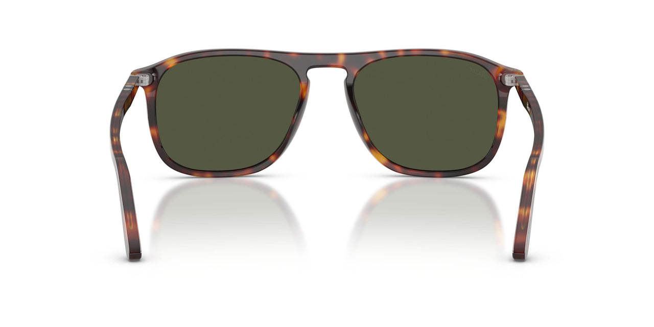 24/31 - Tortoise - Green