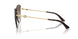 300613 - Gold - Gradient Brown