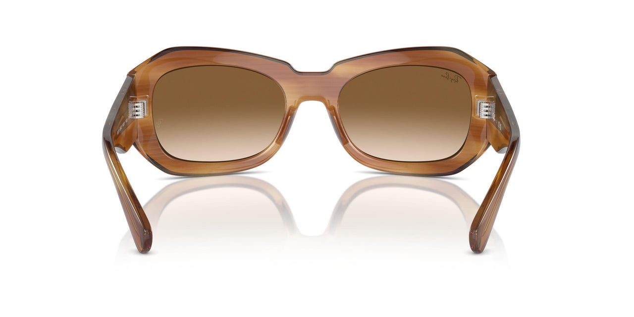140351 - Tortoise - Clear & Brown