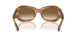 140351 - Tortoise - Clear & Brown