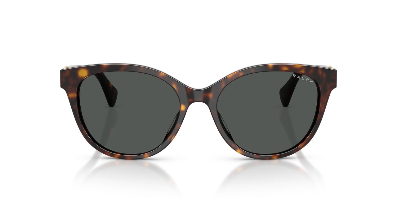 500387 - Brown - Grey