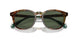 50179A - Tortoise - Bottle Green Polarized