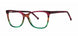 GB+ VICTORIOUS Eyeglasses