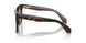 587951 - Tortoise - Brown Gradient