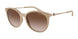 834213 - Brown - Gradient Brown