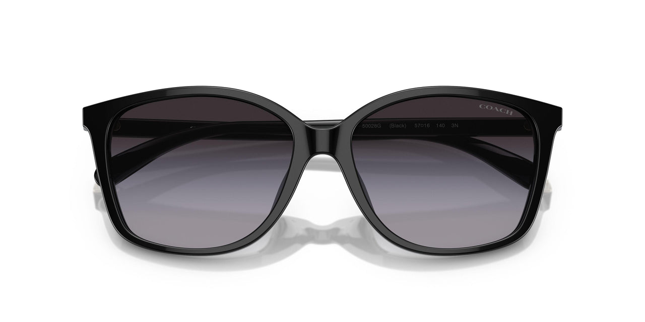 50028G - Black - Grey Gradient