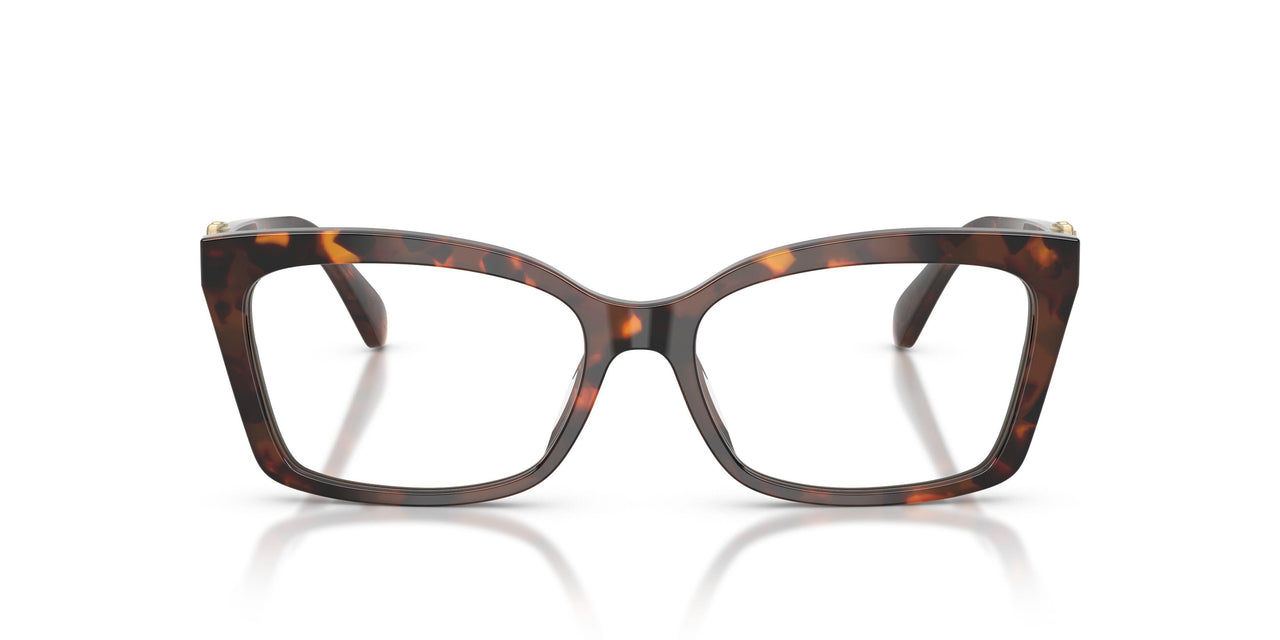 4031 - Tortoise