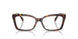 4031 - Tortoise