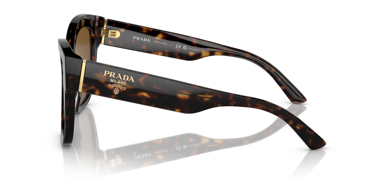 2AU5Y1 - Havana - Polar Dark Brown