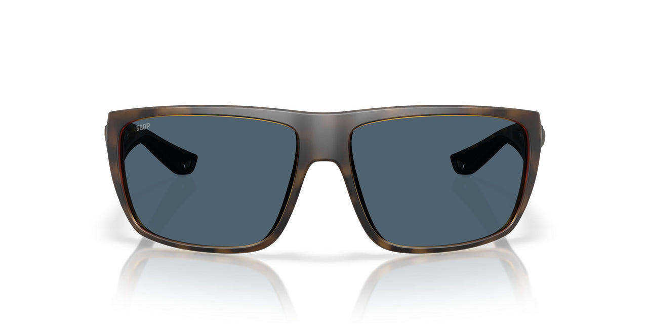 912911 - Tortoise - Gray