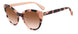 0HT8-M2 - PINK HAVANA - Brown Pink Grad