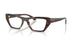 W656 - Brown
