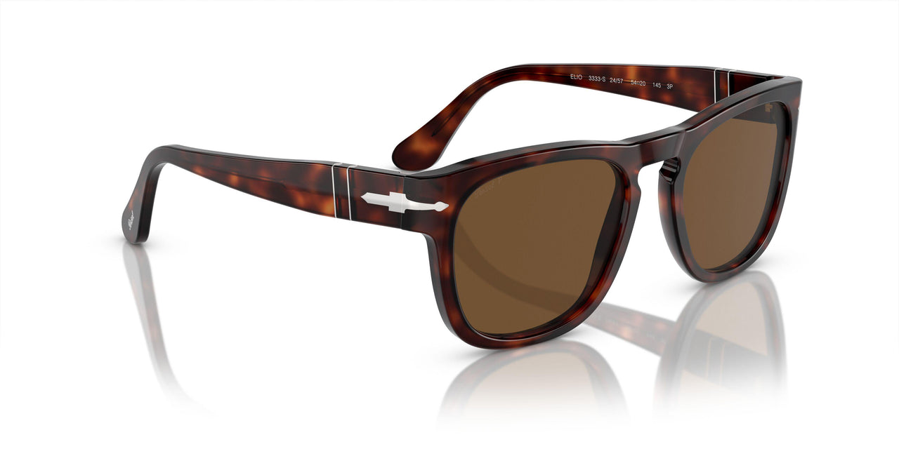 24/57 - Tortoise - Polar Brown