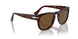 24/57 - Tortoise - Polar Brown