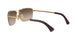 001/13 - Gold - Brown Gradient