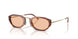 616273 - Tortoise - Light Brown