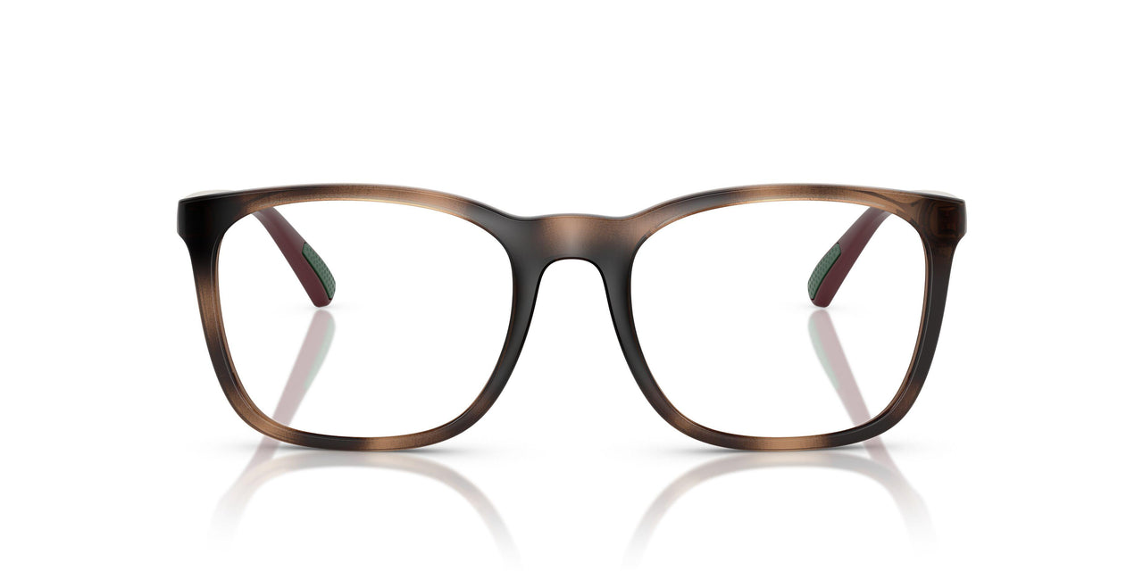 6208 - Tortoise