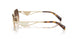 ZVN50C - Gold - Brown Gradient Grey
